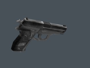 Sig P228